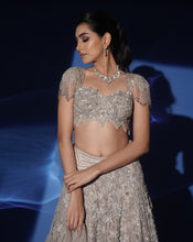 Load image into Gallery viewer, Soft Grey Sequin Embellished Lehenga