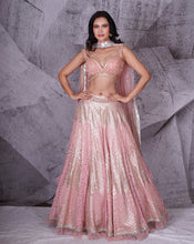 Load image into Gallery viewer, The Spree Pink Lehenga
