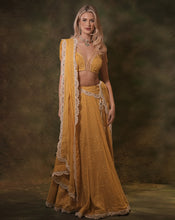 Load image into Gallery viewer, The Sunshine Lucknowi Lehenga
