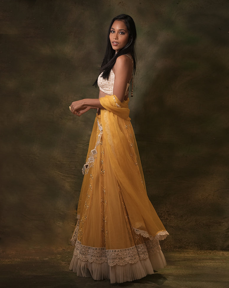 The Sunshine Mirror Lehenga