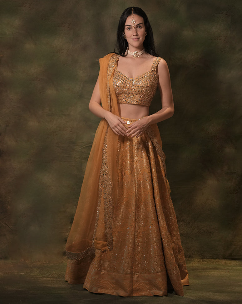 The Anant Embellished Mustard Lehenga