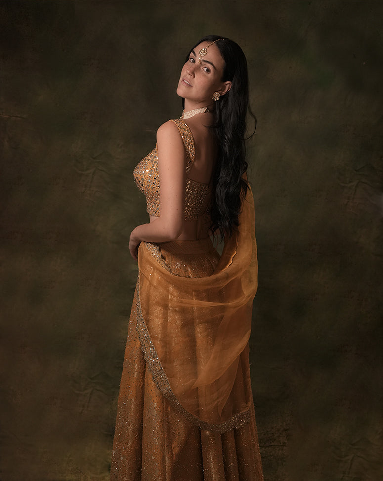 The Anant Embellished Mustard Lehenga