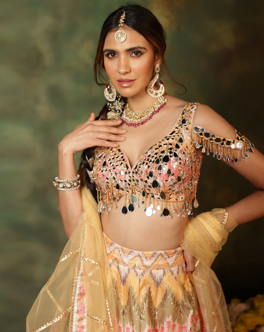 Sheesh Colourburst Lehenga Set