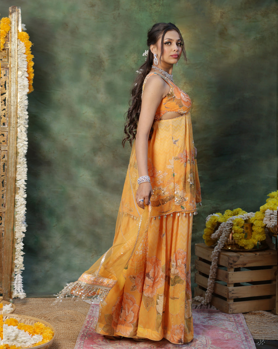 Gulmora Peplum Sharara Set