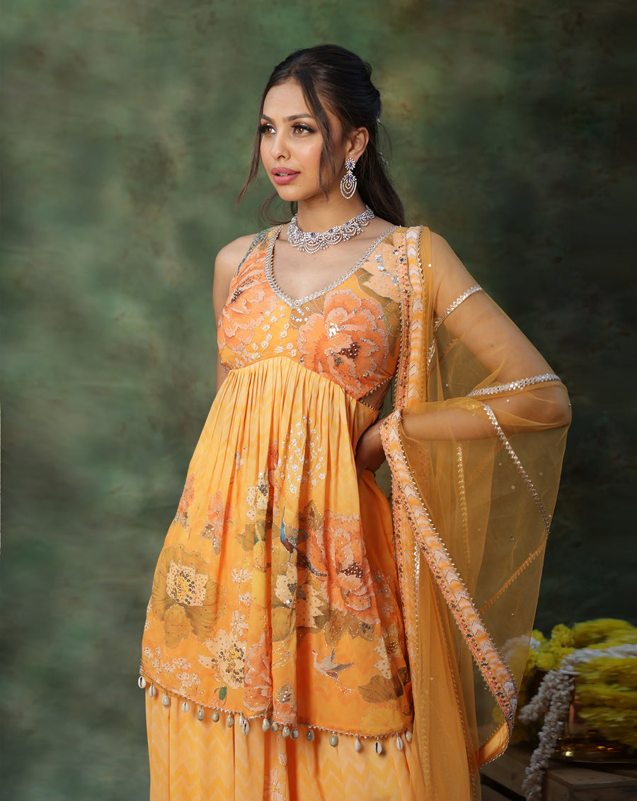 Gulmora Peplum Sharara Set