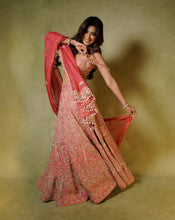 Load image into Gallery viewer, Soft Pink Zardosi Lehenga
