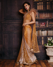 Load image into Gallery viewer, The Ruffle Gold Lucknowi Sari
