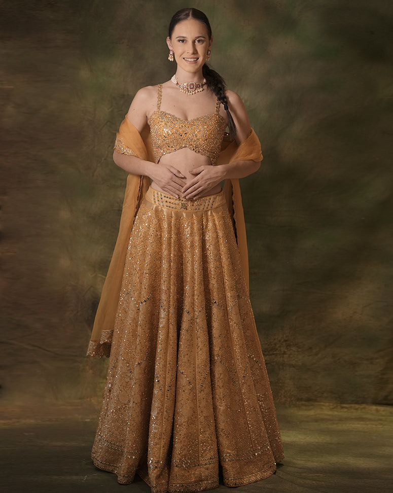 The Embellished Mustard Lehenga