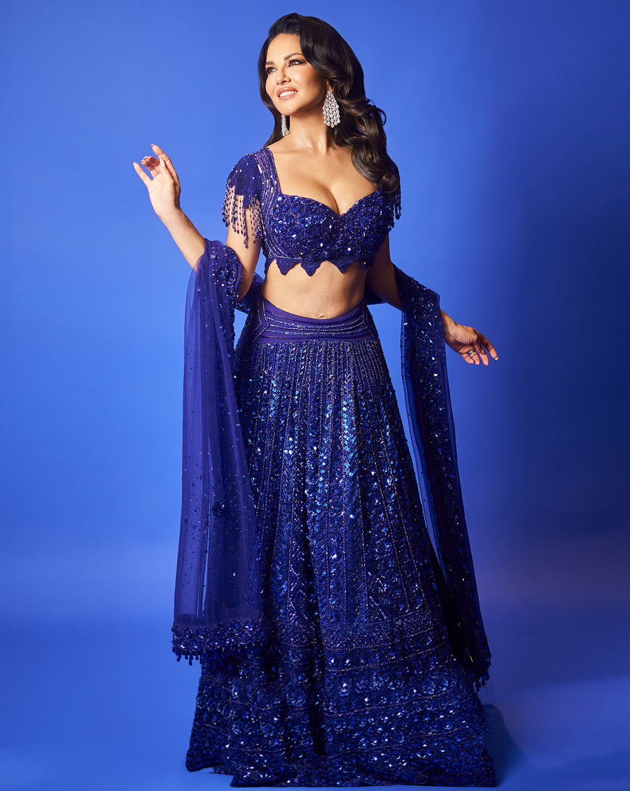 Embroidered Royal Blue Lehenga