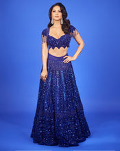 Load image into Gallery viewer, Embroidered Royal Blue Lehenga

