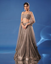 Load image into Gallery viewer, Grey Embroidered Lehenga Set

