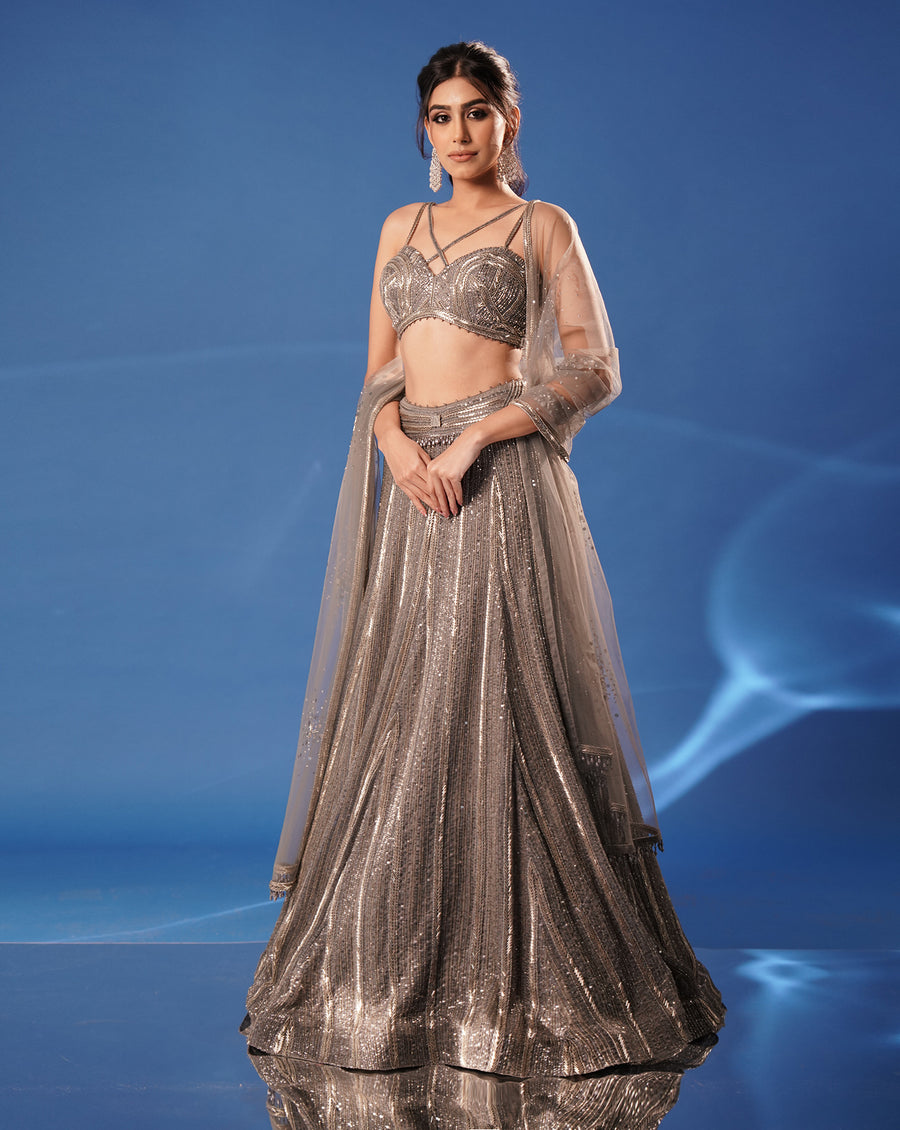 Grey Embroidered Lehenga Set