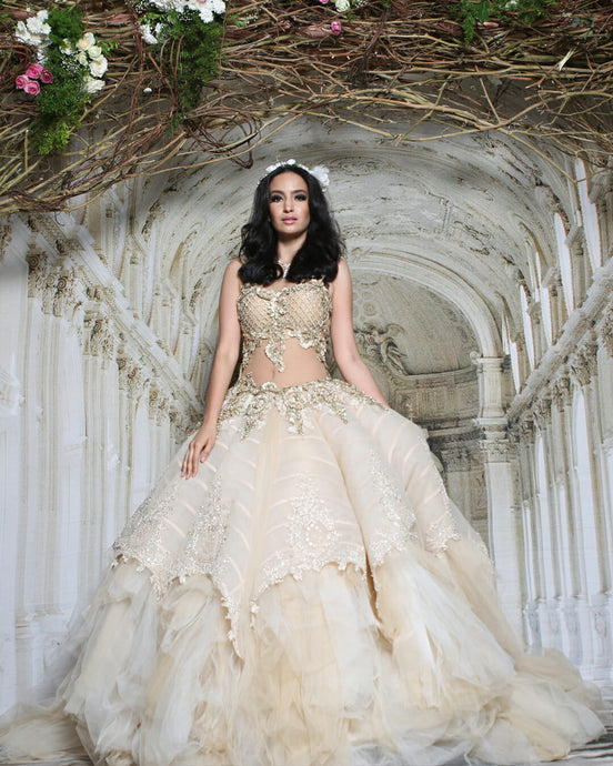 Elegant Embroidered Ballgown - Archana Kochhar India