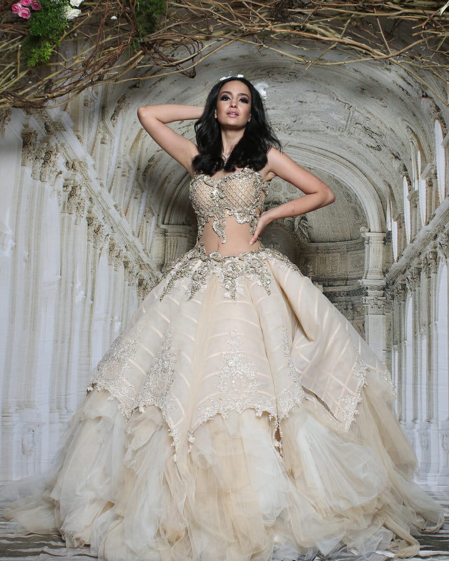 Elegant Embroidered Ballgown - Archana Kochhar India